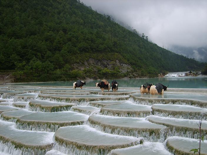 牦牛屏 摄影 心是沙漠海