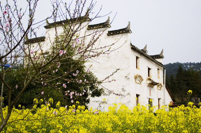 江西婺源风景（二） 摄影 雅里里