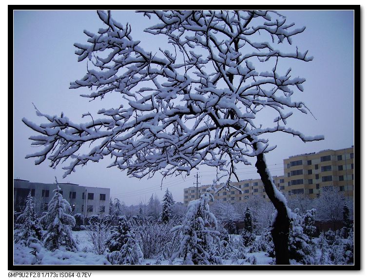 雪 摄影 仙仁送灯