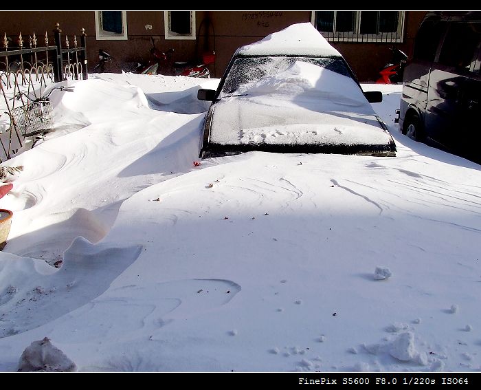 鞍山突降的暴雪 摄影 千锤百炼