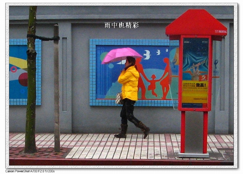 雨中也精彩 摄影 饮色者