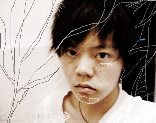 whale's forest 摄影 whale