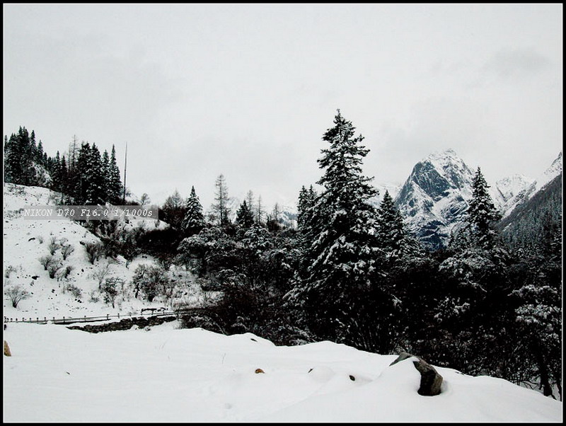 雪 摄影 长风画