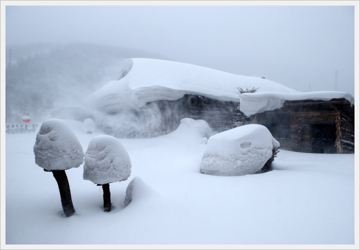 风雪雪乡 摄影 闰石子