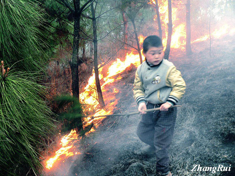 《扑火少年》 摄影 江淮游子