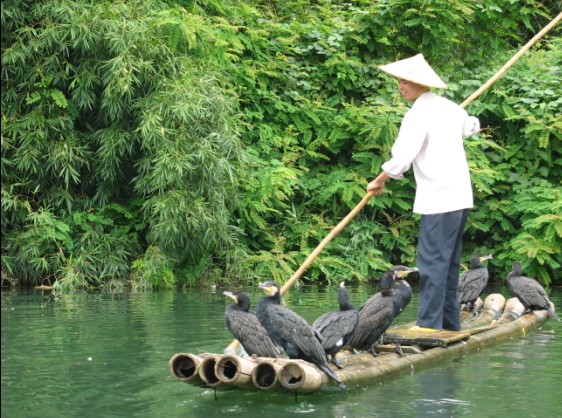 渔人 摄影 一定不一定