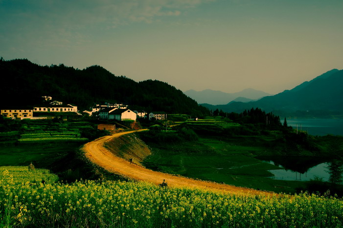 金色的小村 摄影 HenryGu