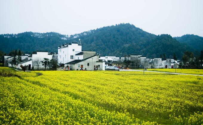 婺源风景（三） 摄影 雅里里