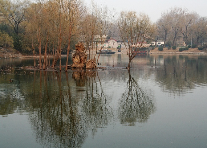 紫竹院小景(2) 摄影 山木