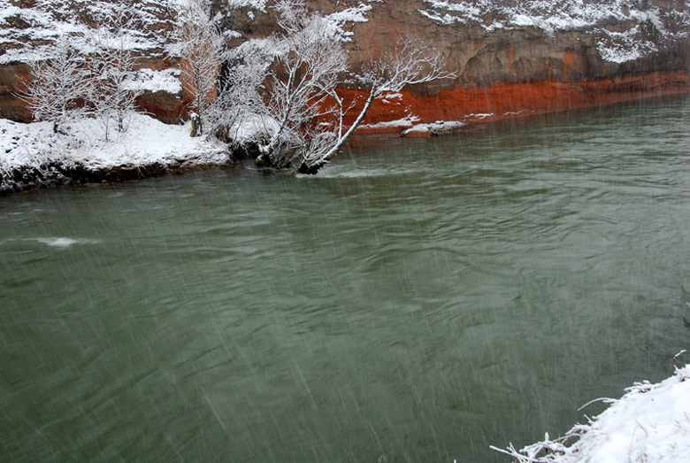 下雪 摄影 松峤一岛