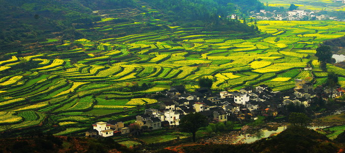 江岭风光 摄影 HenryGu