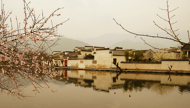 春到宏村 摄影 绿草地