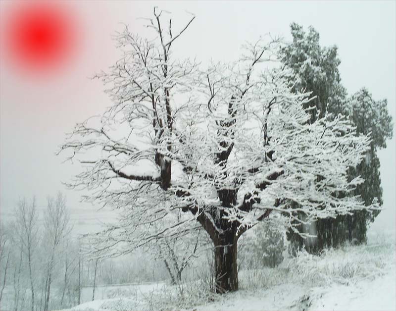 雪落商山  天开画卷 摄影 风土人情