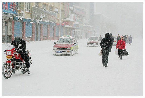 07大雪 摄影 岳桦