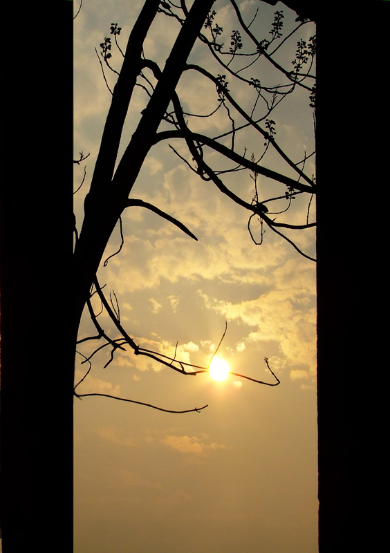 夕阳 摄影 黑色格子