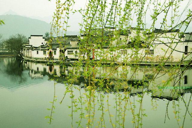 春到宏村 摄影 绿草地