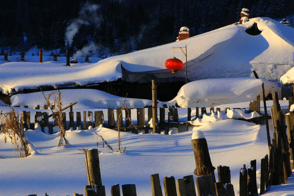 雪里人家 摄影 qyx