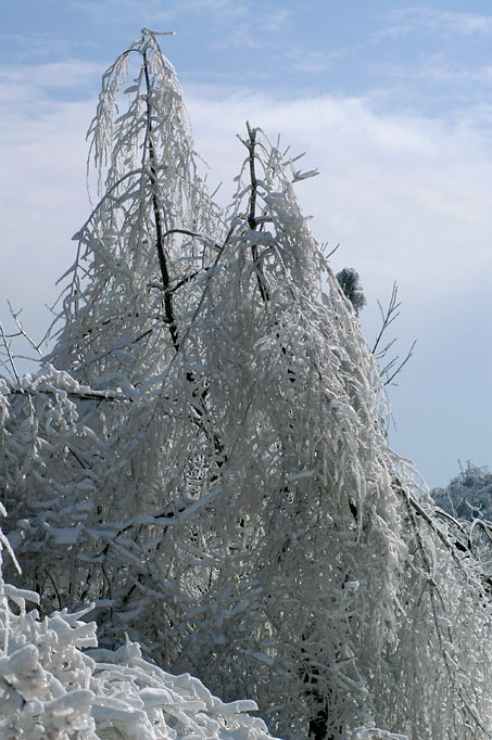 雪景 摄影 朴拙