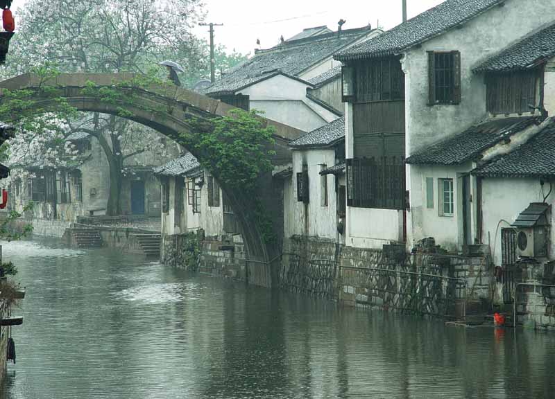 春雨 摄影 南寻