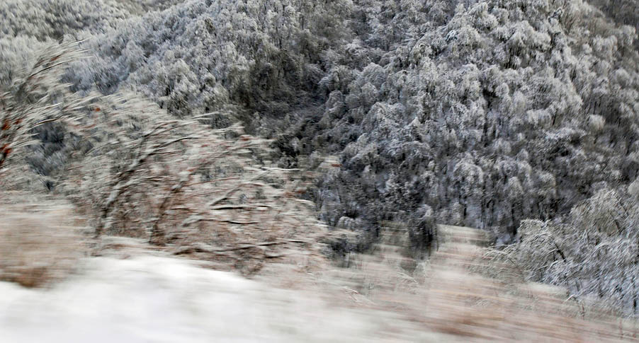 雪景 摄影 朴拙