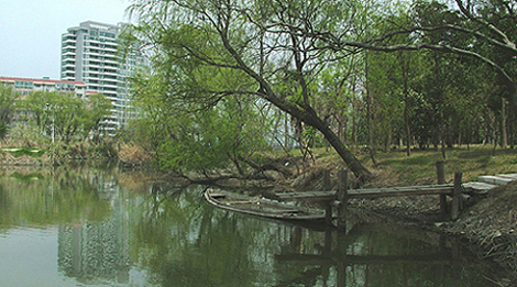 湾湾的小河 摄影 新湛蓝天空