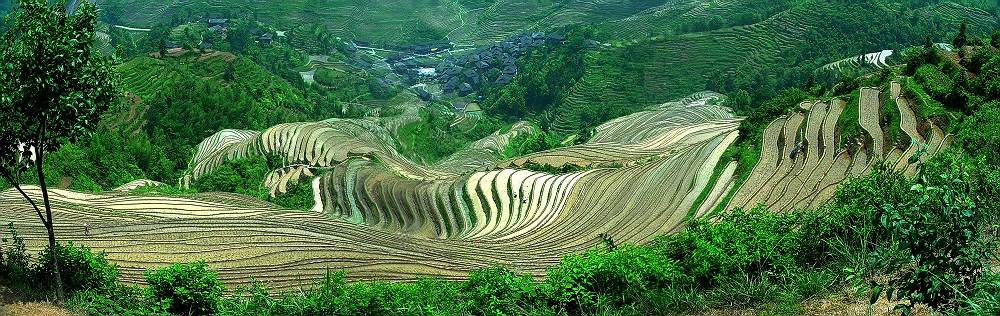 大地交响乐 摄影 shenjizhang