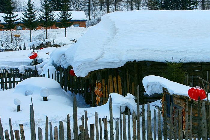 雪乡人家 摄影 平遥抒雪