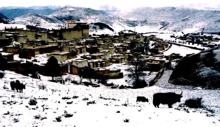 中甸雪 摄影 建智