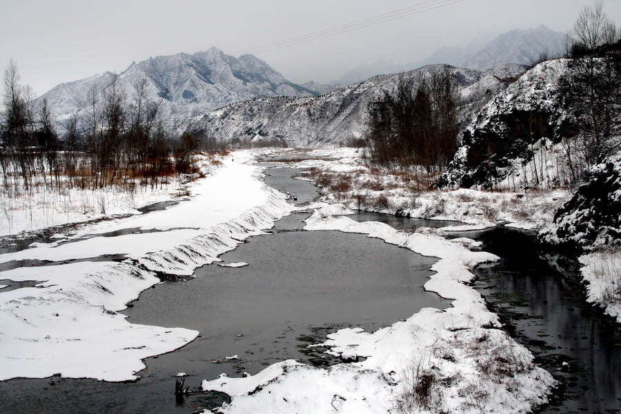 雪野2 摄影 老树红楼