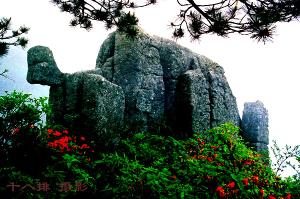 [原创]明月山风光 摄影 十八排