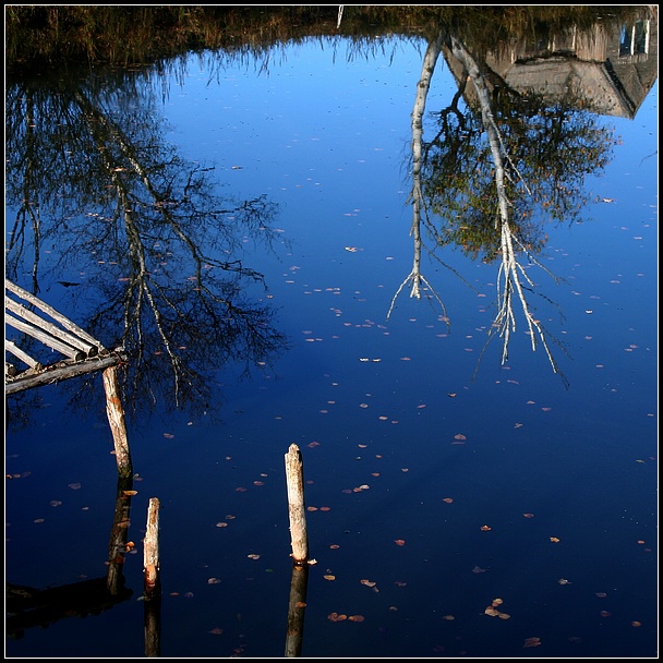 亦幻亦真 摄影 lake