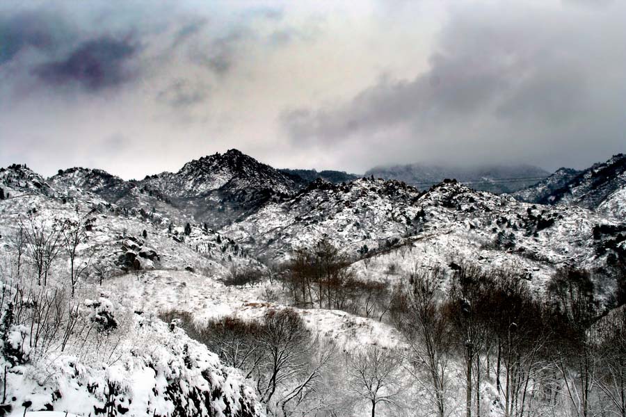 雪野3 摄影 老树红楼