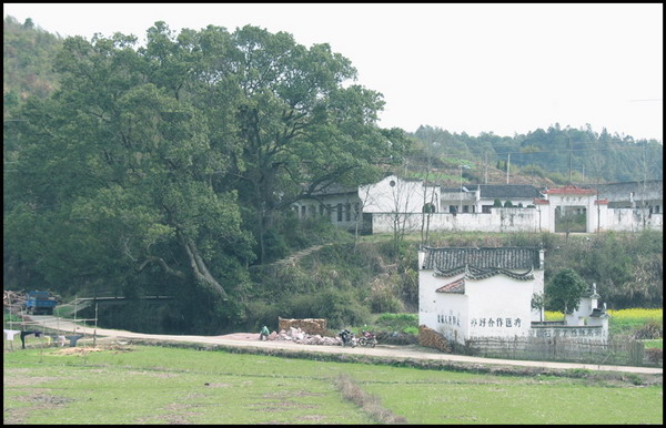 江西务沅 龙山豸峰村 摄影 taoyijia