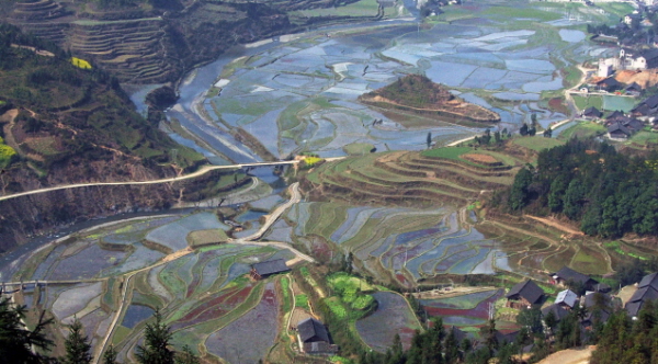 田野 摄影 追风抚月