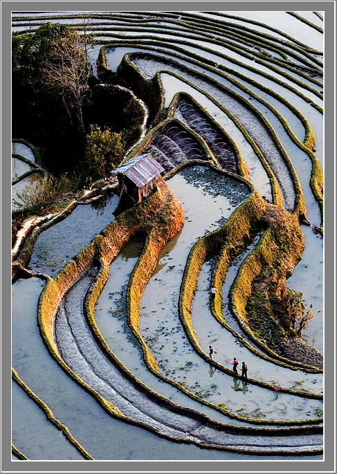 元阳小景 摄影 寒曦