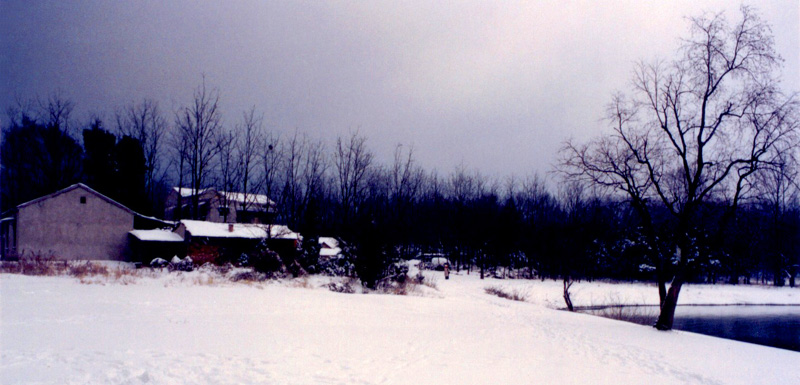 南京前湖雪景 摄影 建智