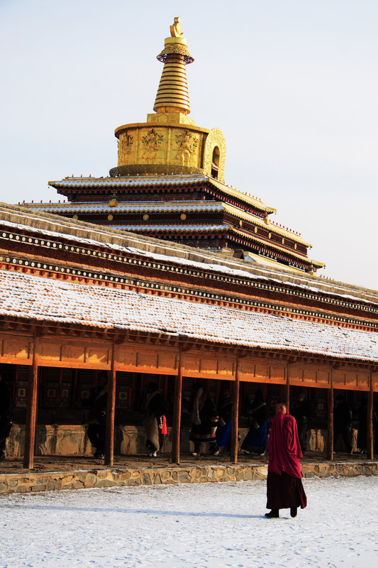 雪后的拉卜楞寺 摄影 野人王