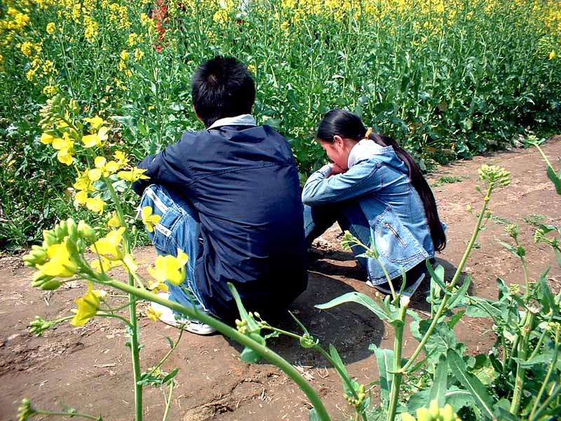 花中叙 摄影 吉祥鸟