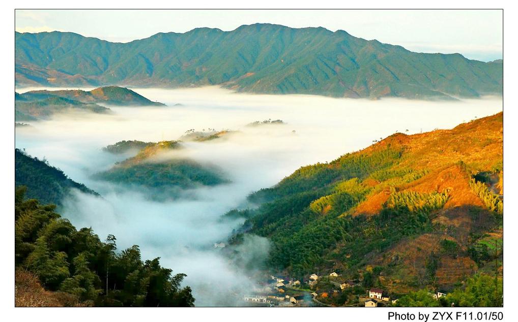 四明山云海 摄影 四明山风