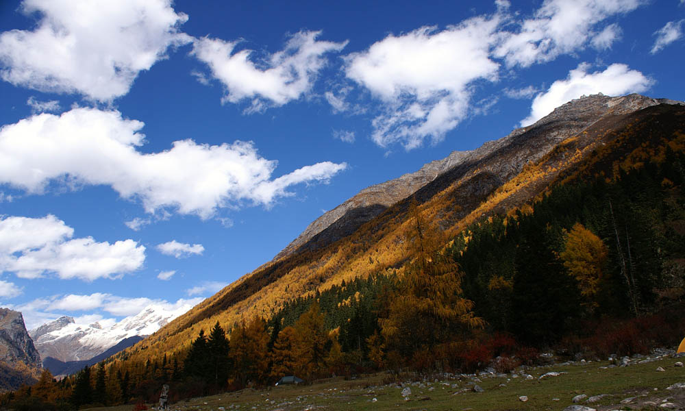 四姑娘山 长坪沟 摄影 因你而来