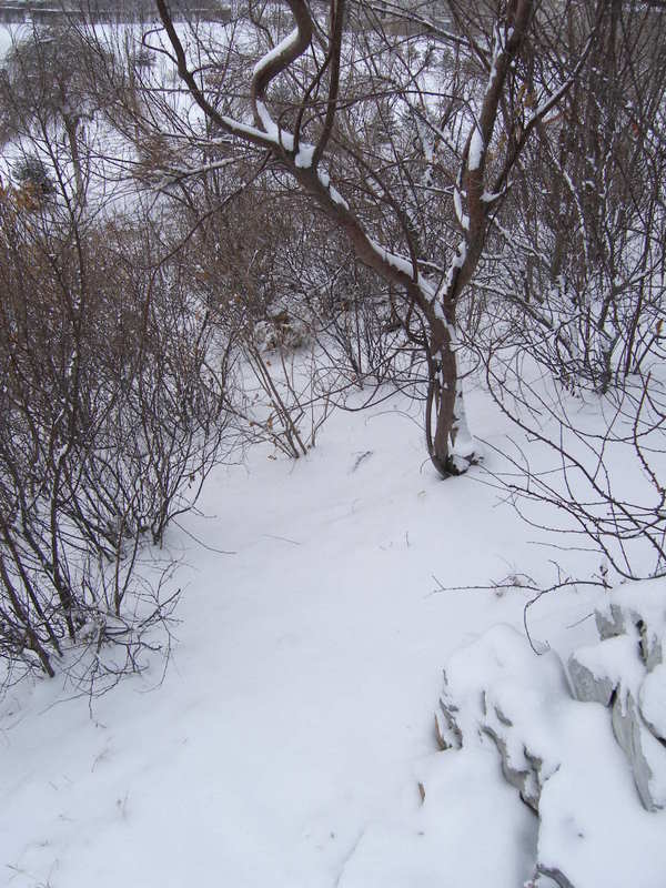 雪野 摄影 颐和园8