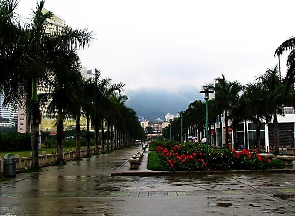 雨中小景 摄影 清清荷韵