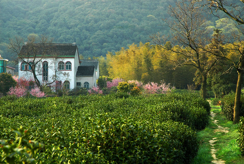 家住桃花间 摄影 苏州山山山