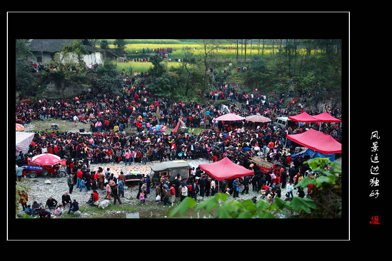 乡村集会 摄影 风景这边独好