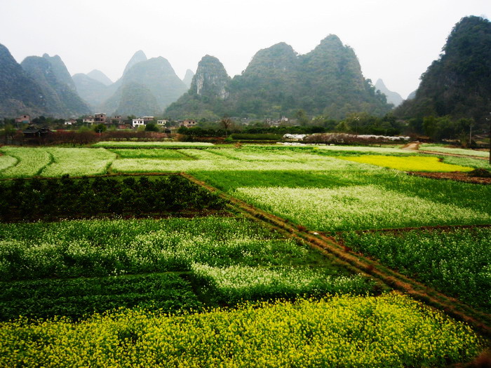 田园 摄影 tielong