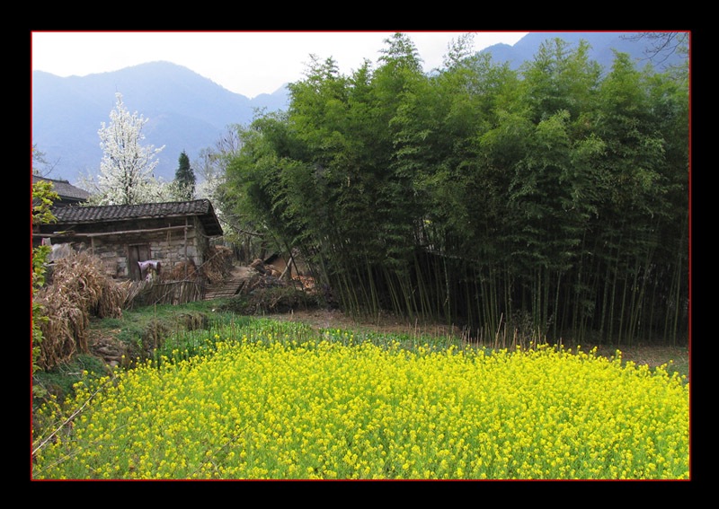 大山深处有人家(四) 摄影 夏之梦