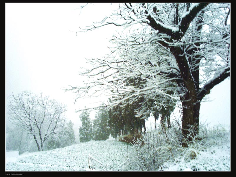 风雪 摄影 风土人情