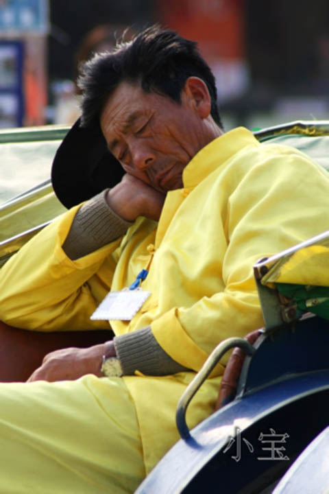 累了~~ 摄影 小宝