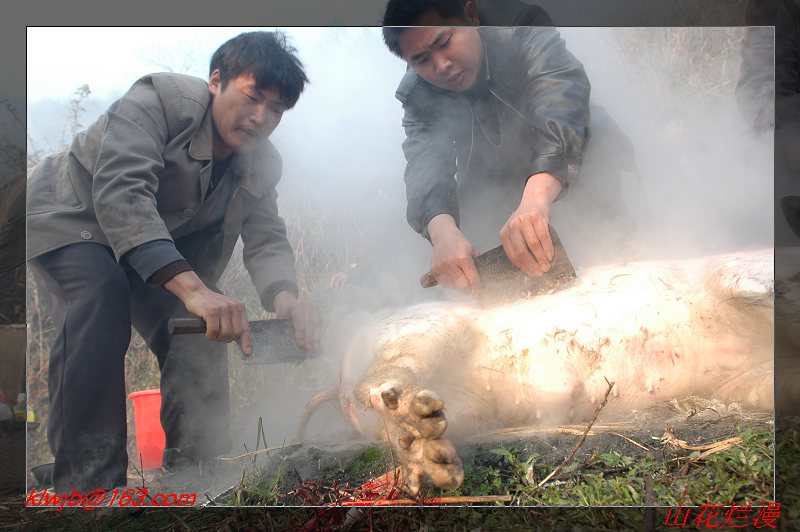 三穗县寨头禳桥节 摄影 贵州山花烂漫