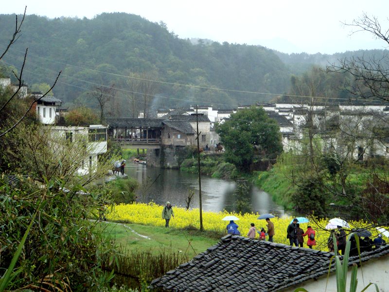 婺源:思溪(春雨) 摄影 静歌